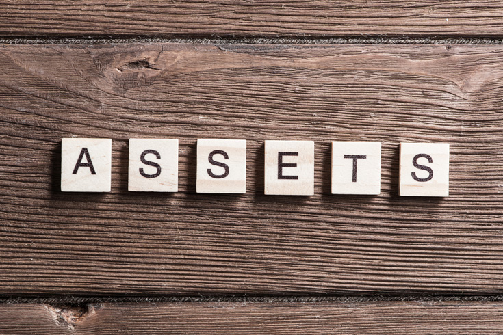 asset manager